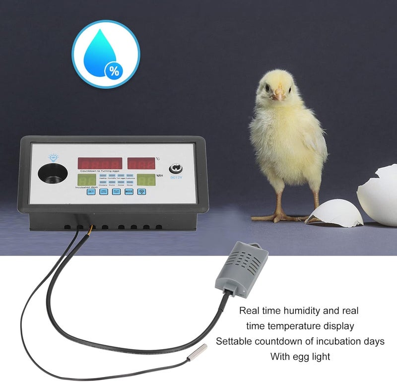 plplaaoo Intelligent Incubator Thermostat,DC 12V 100W Egg Incubator Temperature Controller, Digital Automatic Egg Hatching Incubators Controller for Hatching Duck Eggs Goose Egg - Image 3